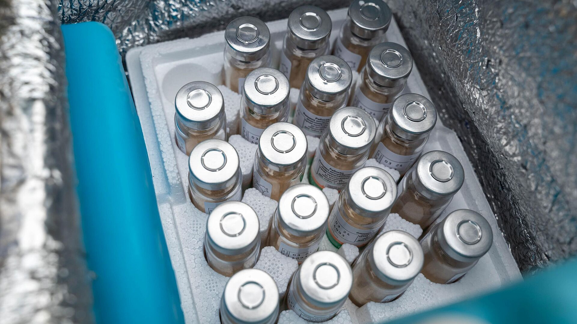 Росздравнадзор опроверг нехватку лекарств от бешенства