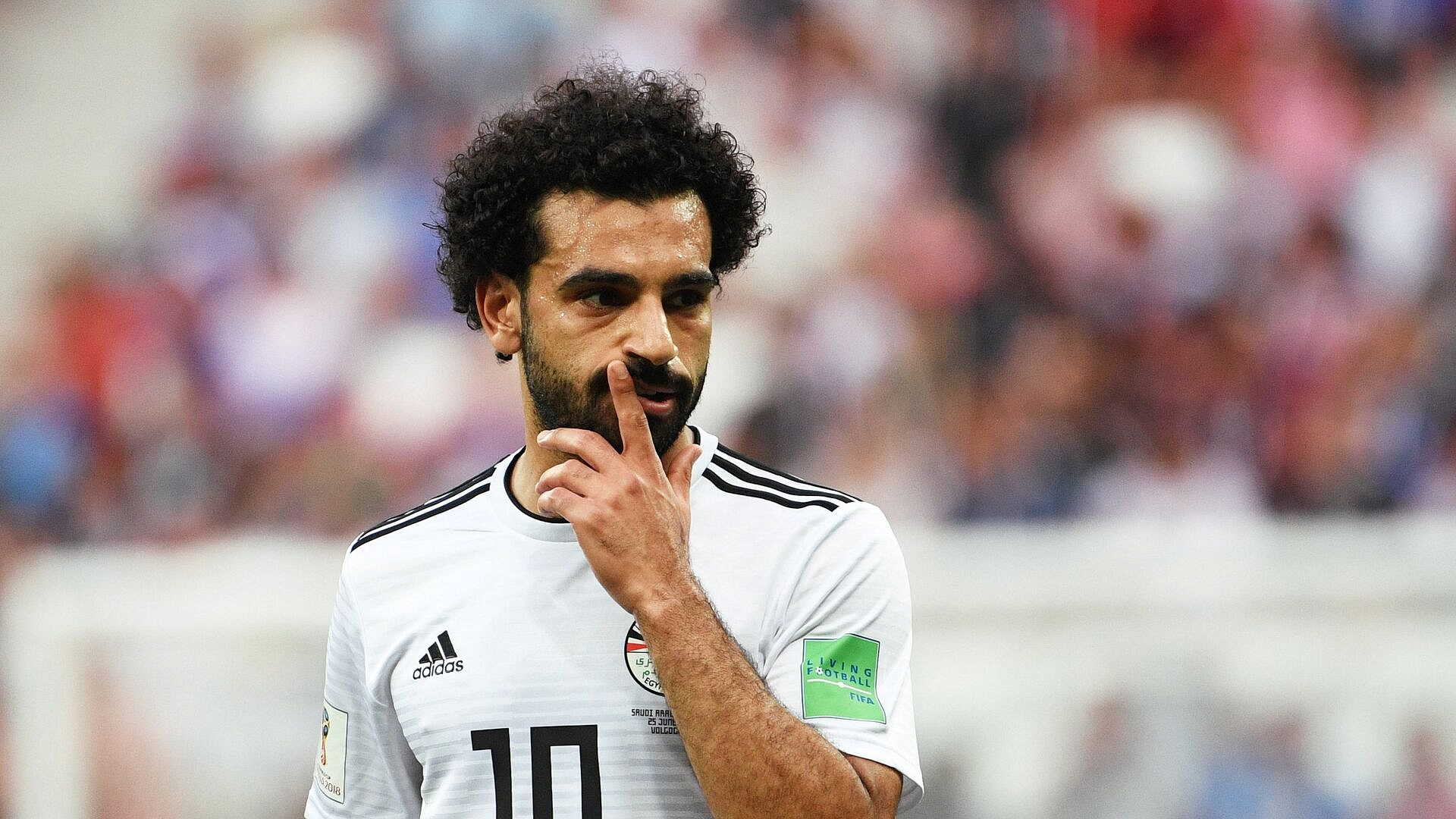 ��� ������ ������ ��������� ������ � ����� ����� ����������� �����