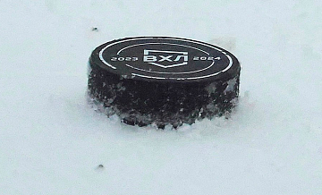 В ВХЛ отреагировали на ситуацию с "Ростовом"