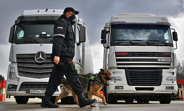 Минпромторг утвердил изменения в перечень параллельного импорта