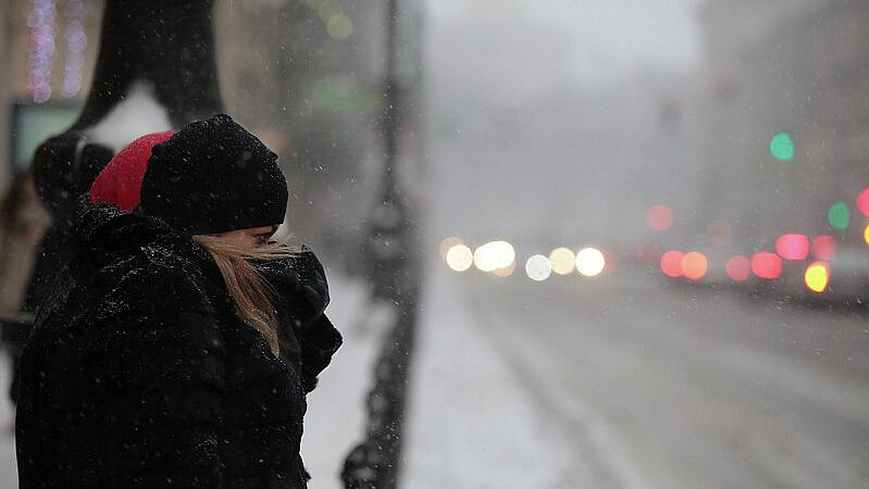 ������� ���������� ��������� ������ ����