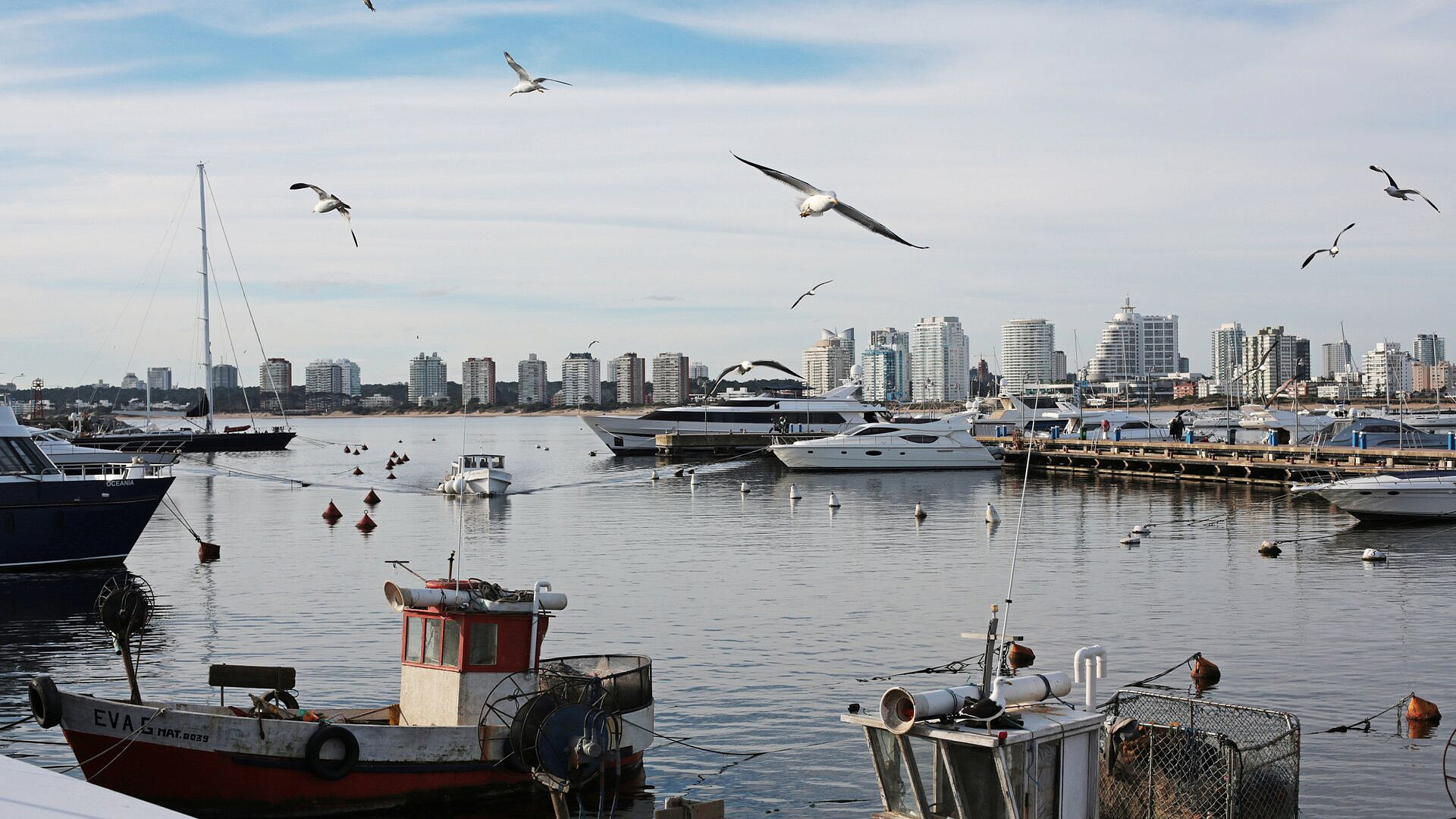 В Уругвае Киеву не позволят вербовать наемников, считают эксперты