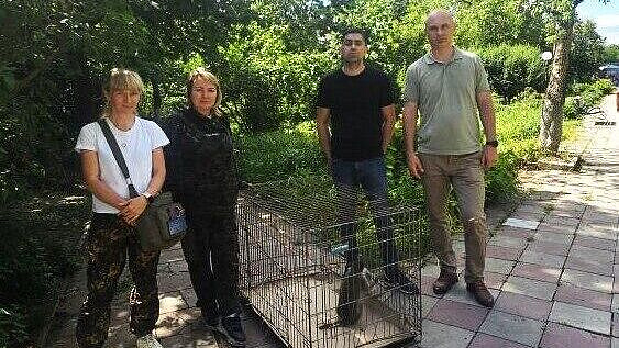 � ������ ��� ������ ������� �������� ����� �� �������� ���������