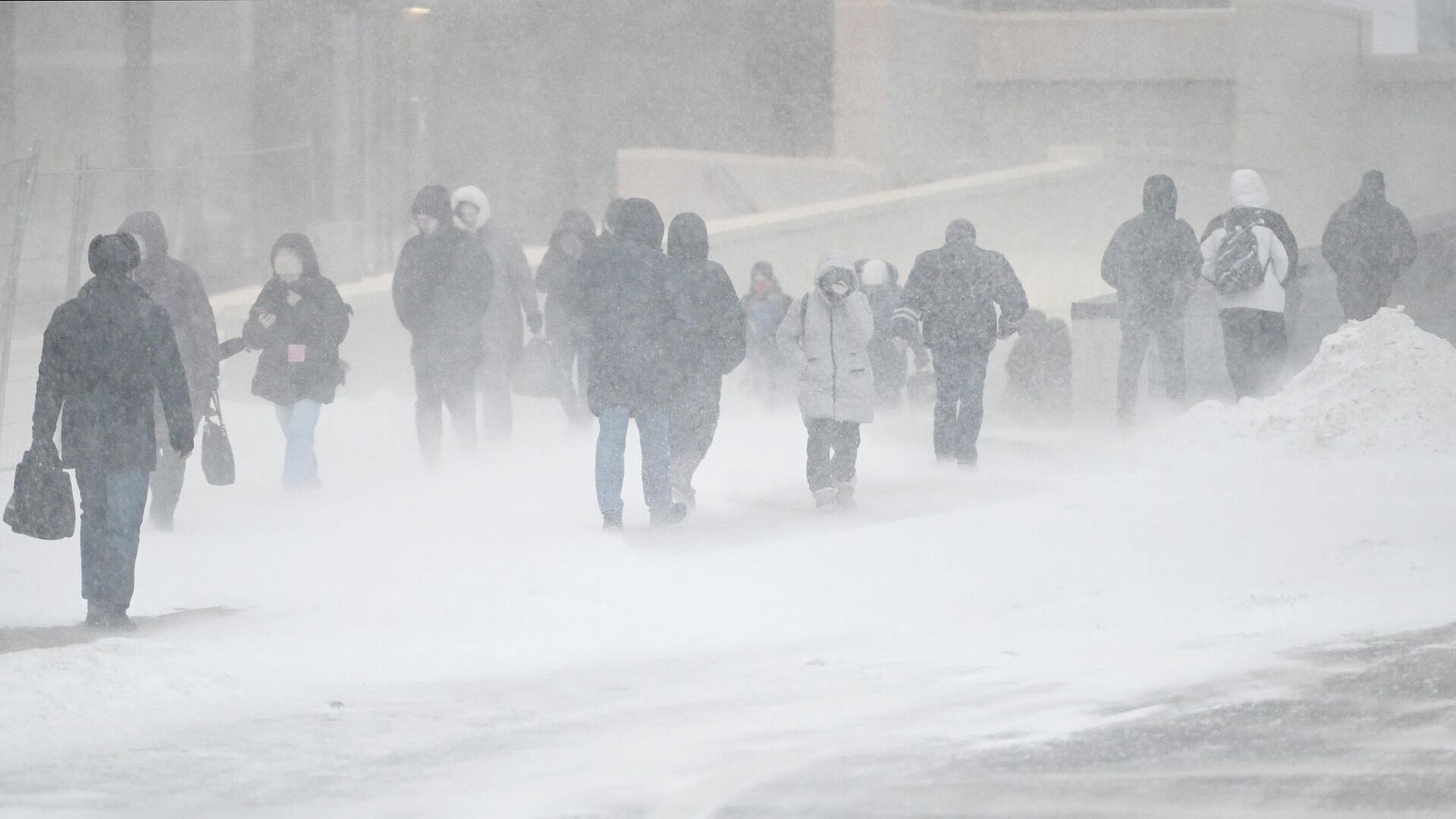 В Москве предупредили о метели, гололедице и ветре до 17 метров в секунду