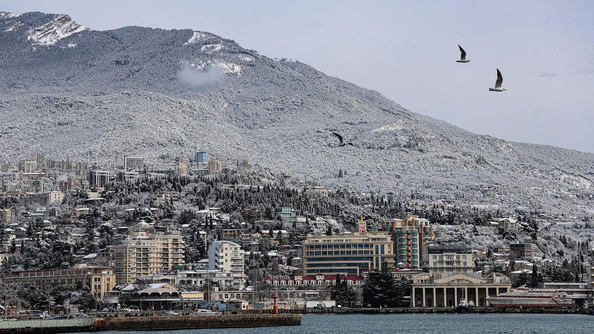 � ����� �������� �� ��������� ������� ��� � ���������������