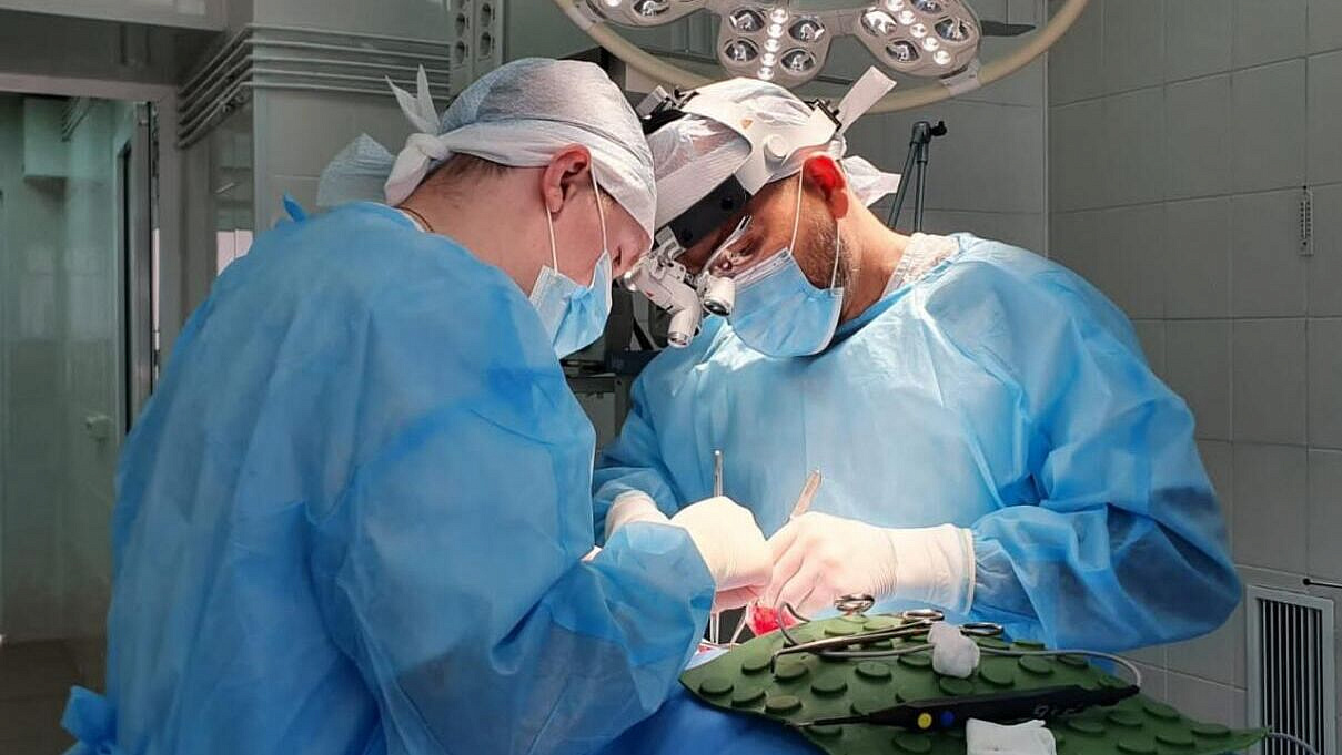 � �������� ����� ������ �������� � 50-������������� �������