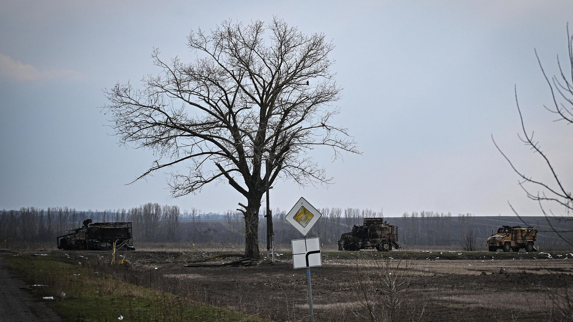 "����� �������������": �� ������ ���������� �������� � ������� �������