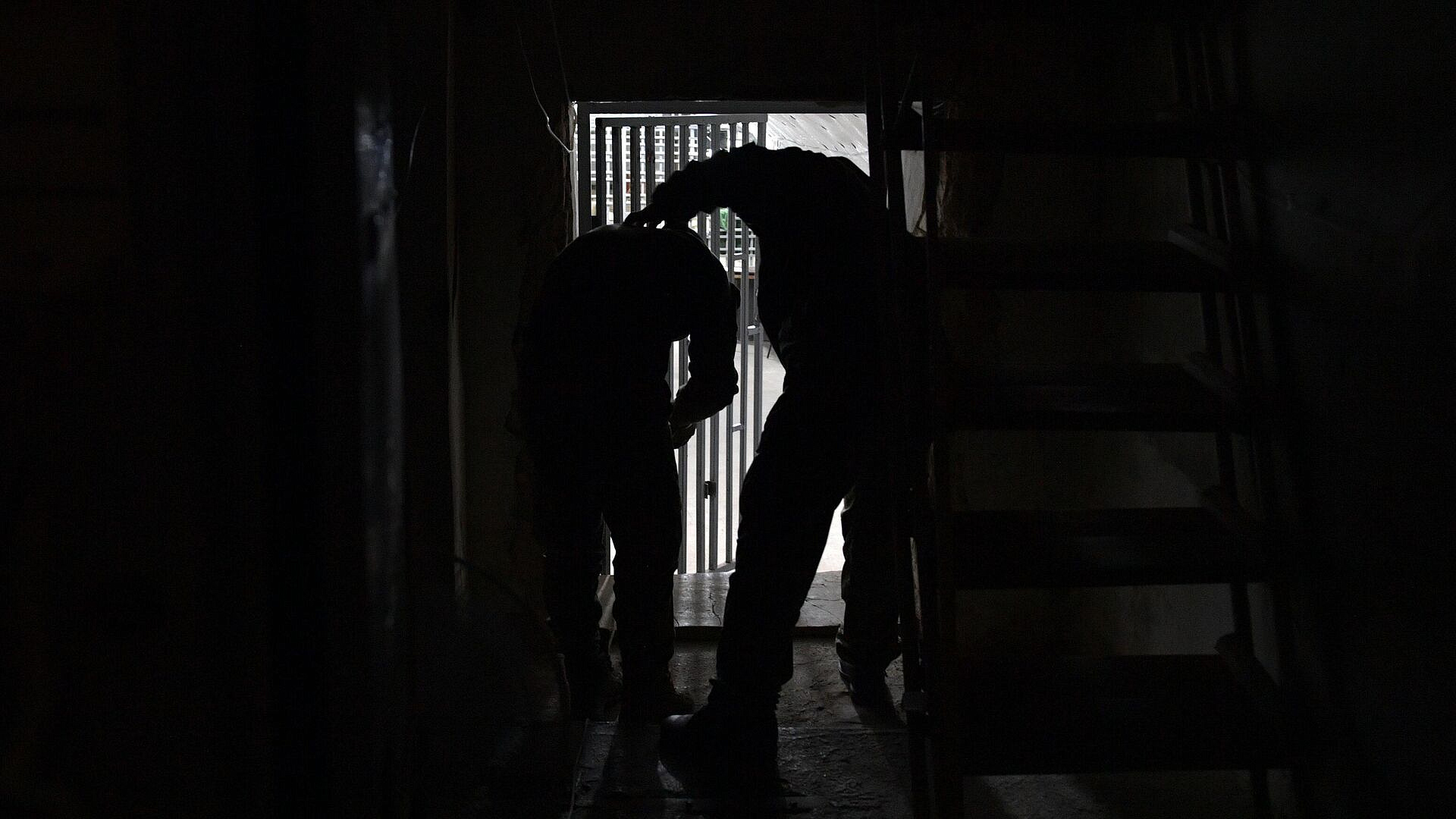 �� ������ � ���� ������� 43 ������� ���