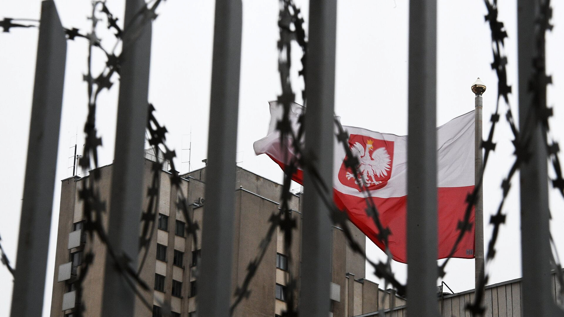 ������� ����������� ������ ���������� �� �������� � "�������� ��������"