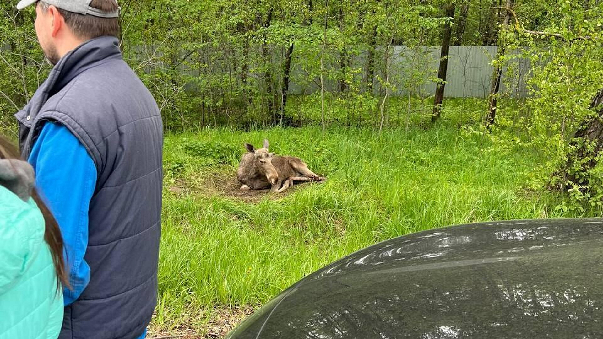 � ����������� ����� �������� ����