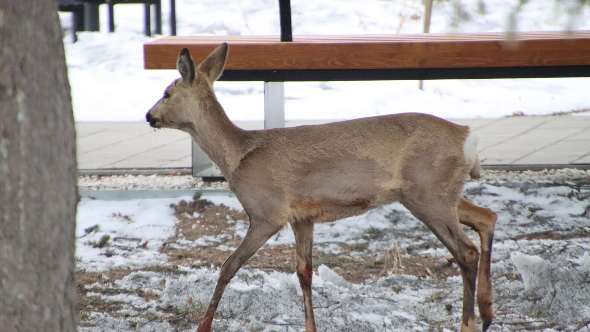 � �������� ������� ������ ������� ������