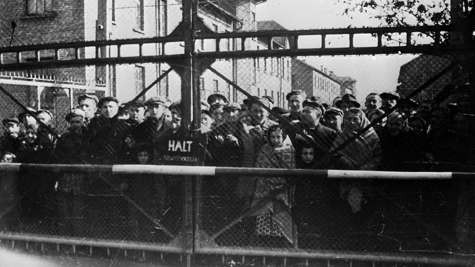 ���� ���������� ��������� ������� ������ ��������� ������������ ���������