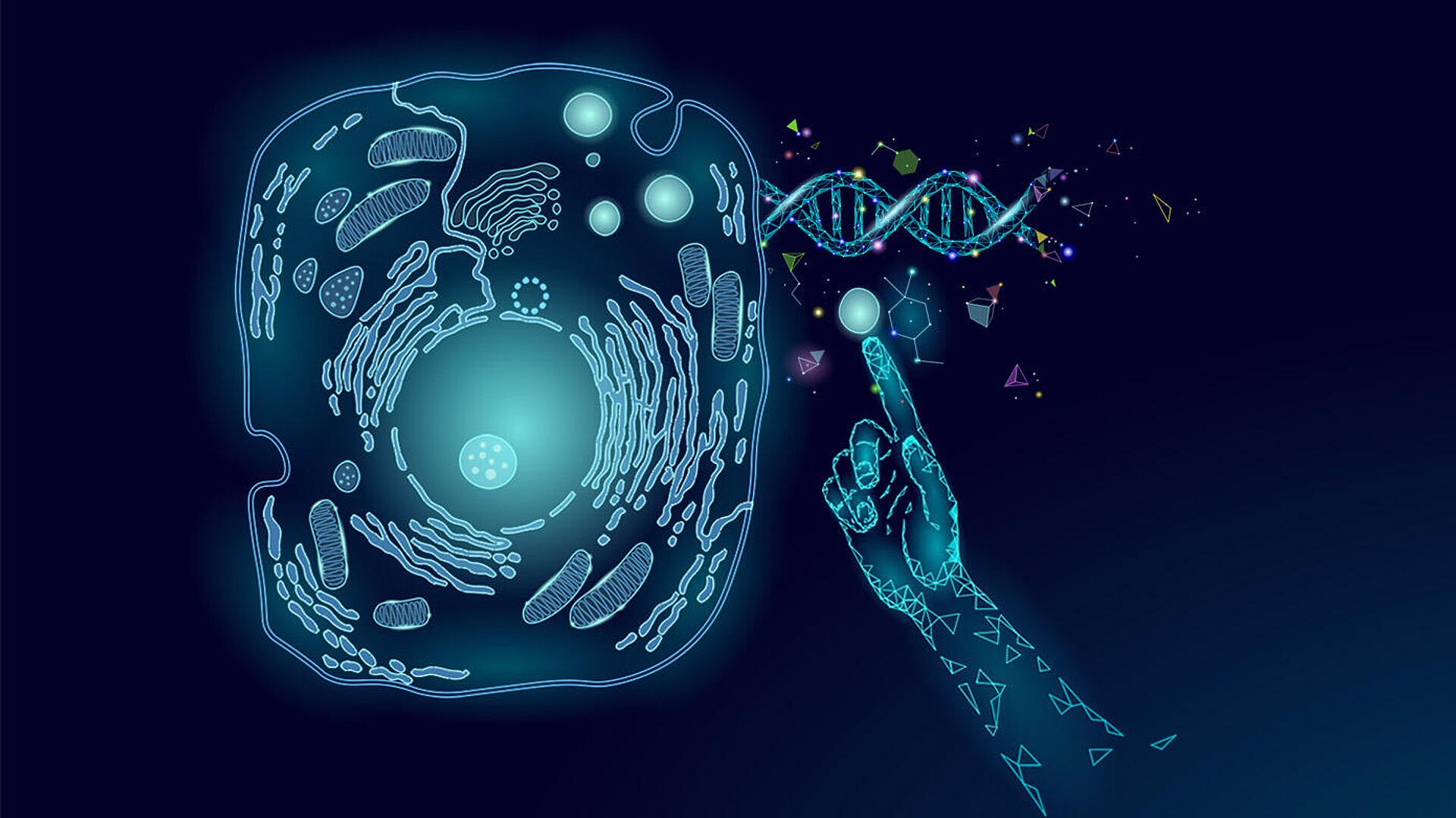 ������������� ���������� ��� ����� ������� ��������� �������� �����������