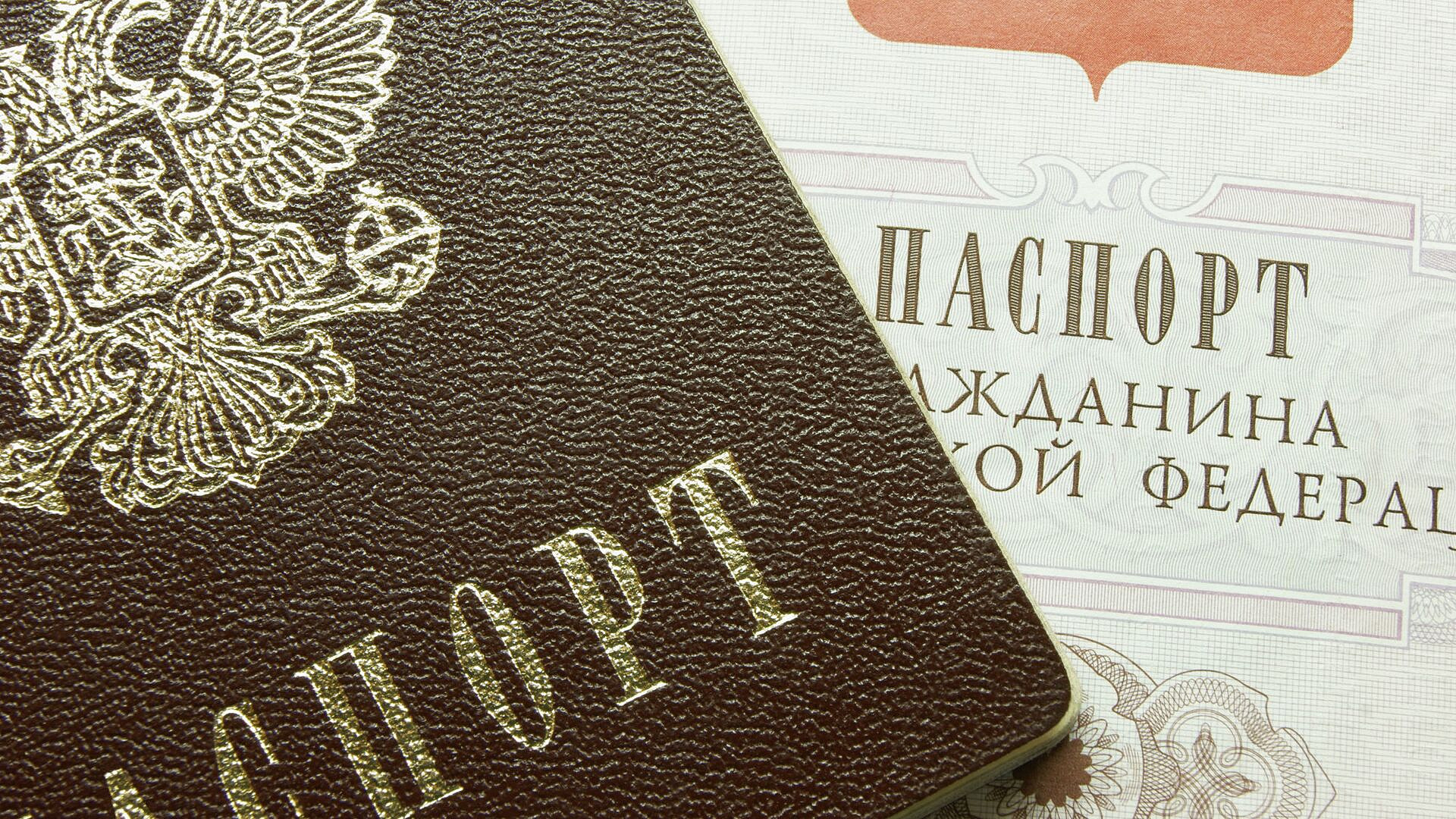 ����� ���������� �������� � �������� ���� ������ �����������