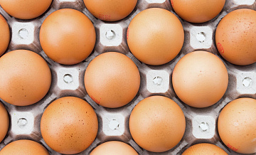 Bloomberg сравнило цены на электроэнергию в США с динамикой цен на яйца