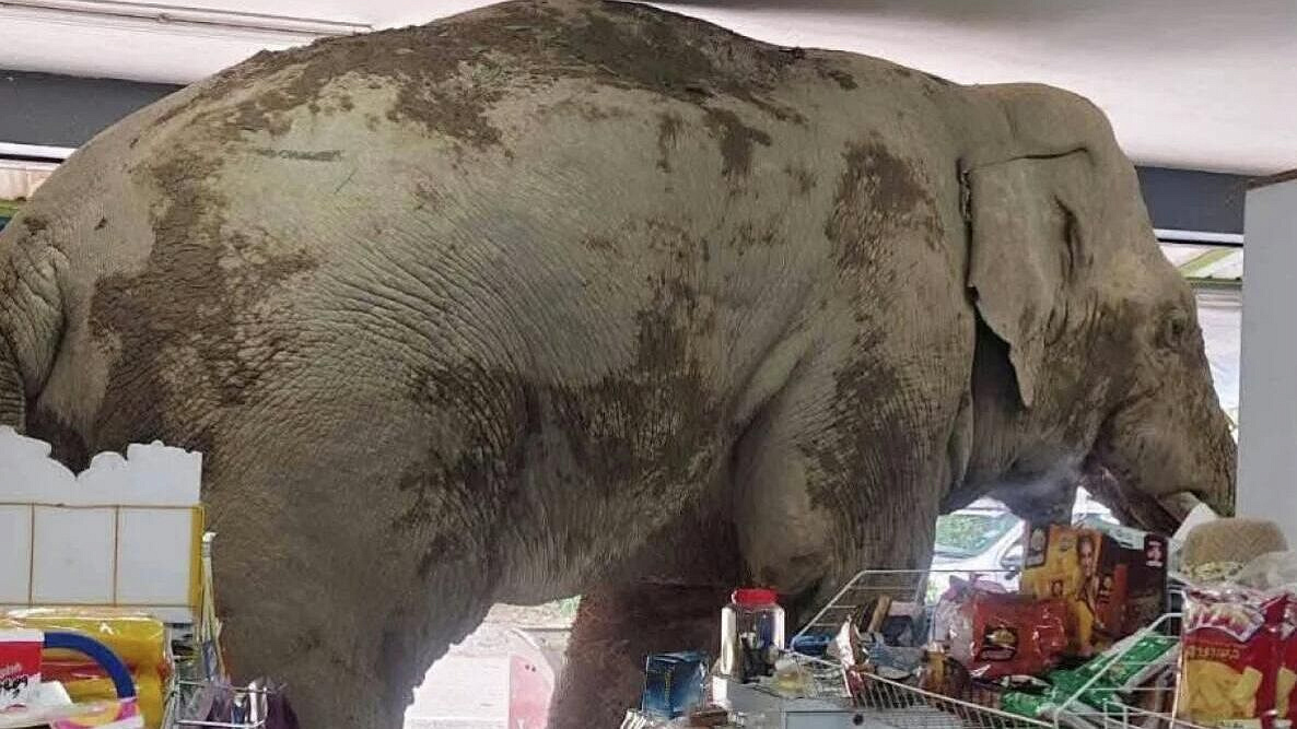 � �������� ���� ����� � ������� � ���� ��� ��������