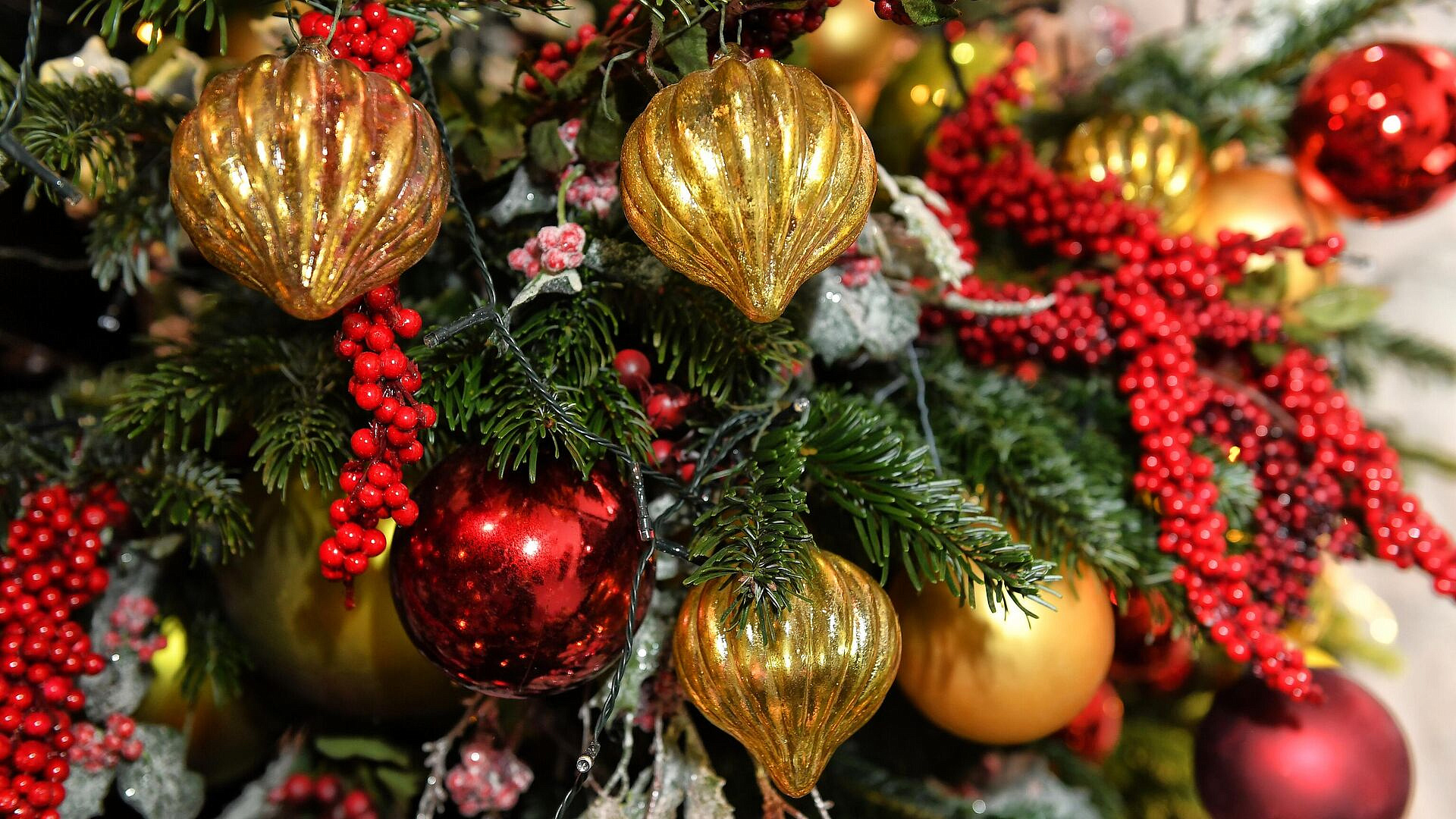 ����� ��������, �������� ��������� �����, ����� ������� ���� �������������