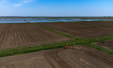 Посевы в России погибли от возвратных заморозков на площади 1,1 млн га