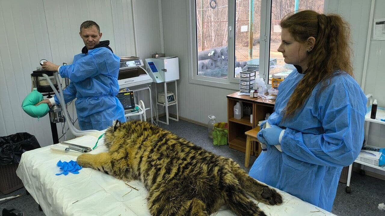 ���������� � �������� ������� �������� ����� ��������� ��������