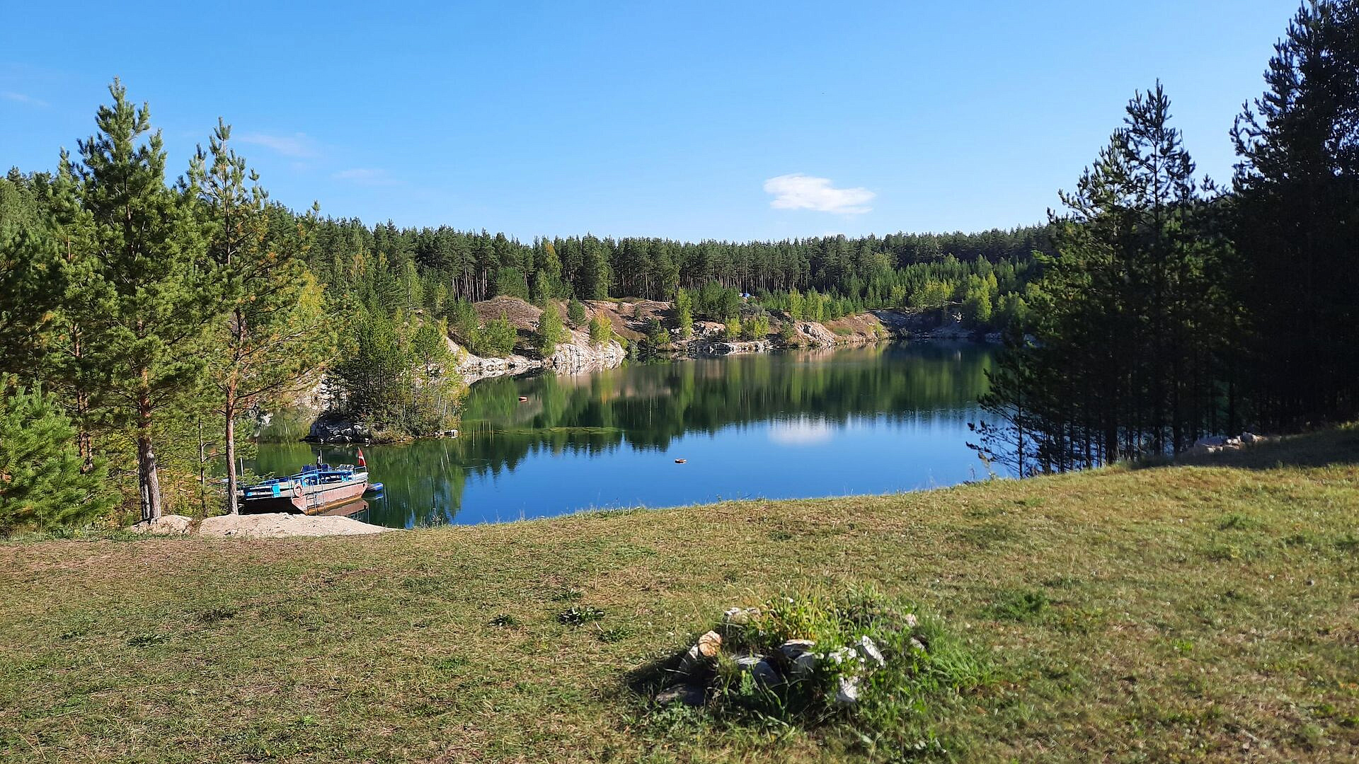 Ученые установили, что роль травы в фотосинтезе сравнима с деревьями
