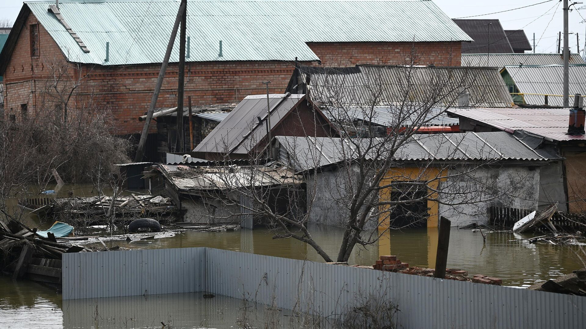 � ������������ ������� �� ���� ������������ ����� 1,6 ������ ����� �� �����