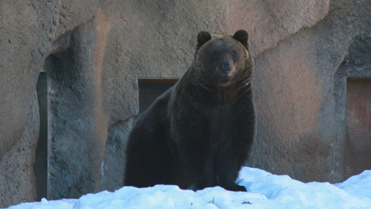 � �������� �������� ����� ������� ���� ��������� ����� ������ ������