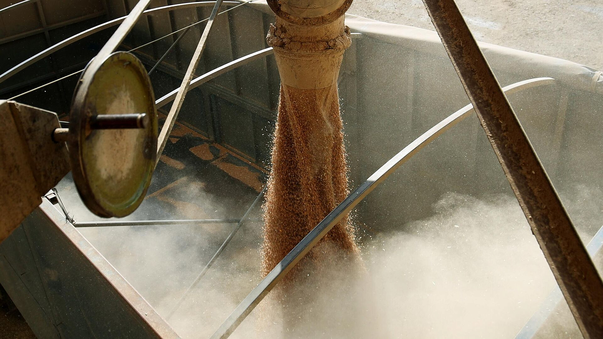 США стали вторым крупнейшим продавцом зерна в ЕС