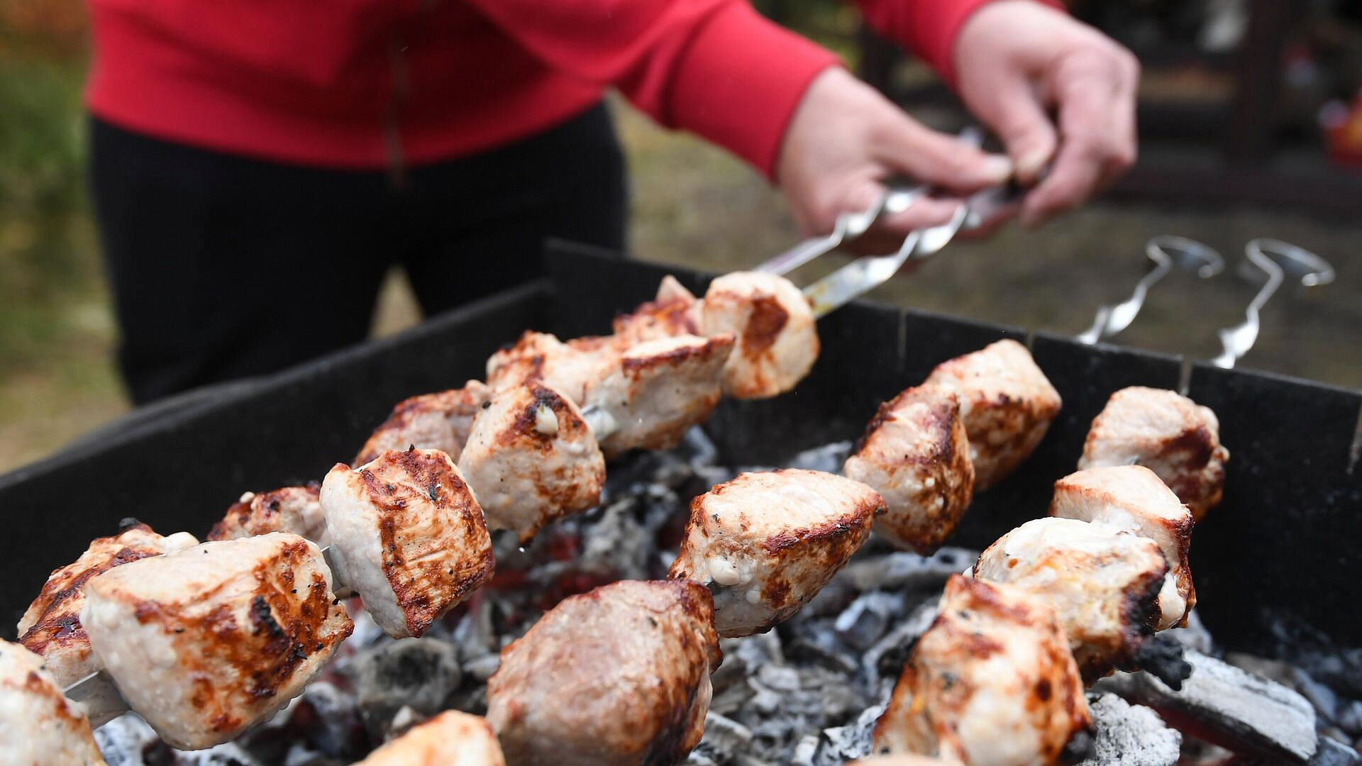 Россиян предупредили о штрафах за шашлык на даче