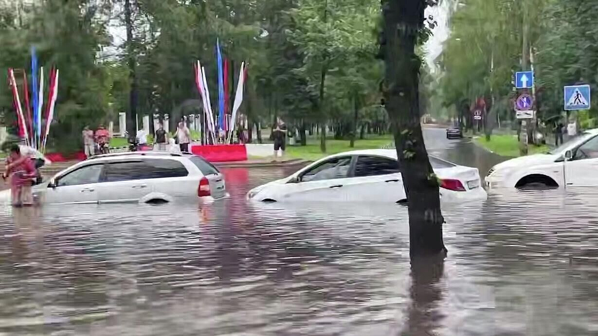 �������� ������ ����� �������