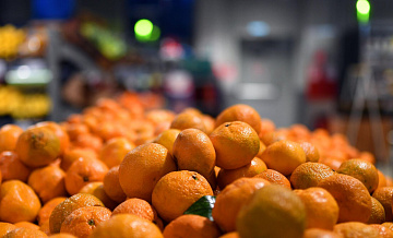 Китай увеличил поставки мандаринов в Россию до рекордных показателей