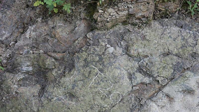 � ����� ����� ����� ����� ����������