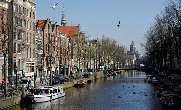 В Нидерландах высказались о мирном соглашении по Украине