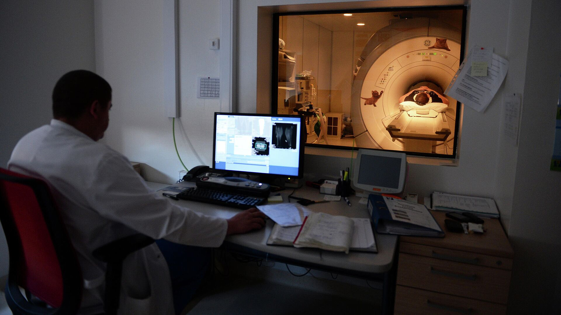 Московские специалисты помогают в лечении онкобольных детей из ЛНР