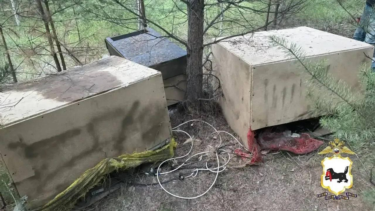 В лесу под Иркутском нашли майнинговую ферму