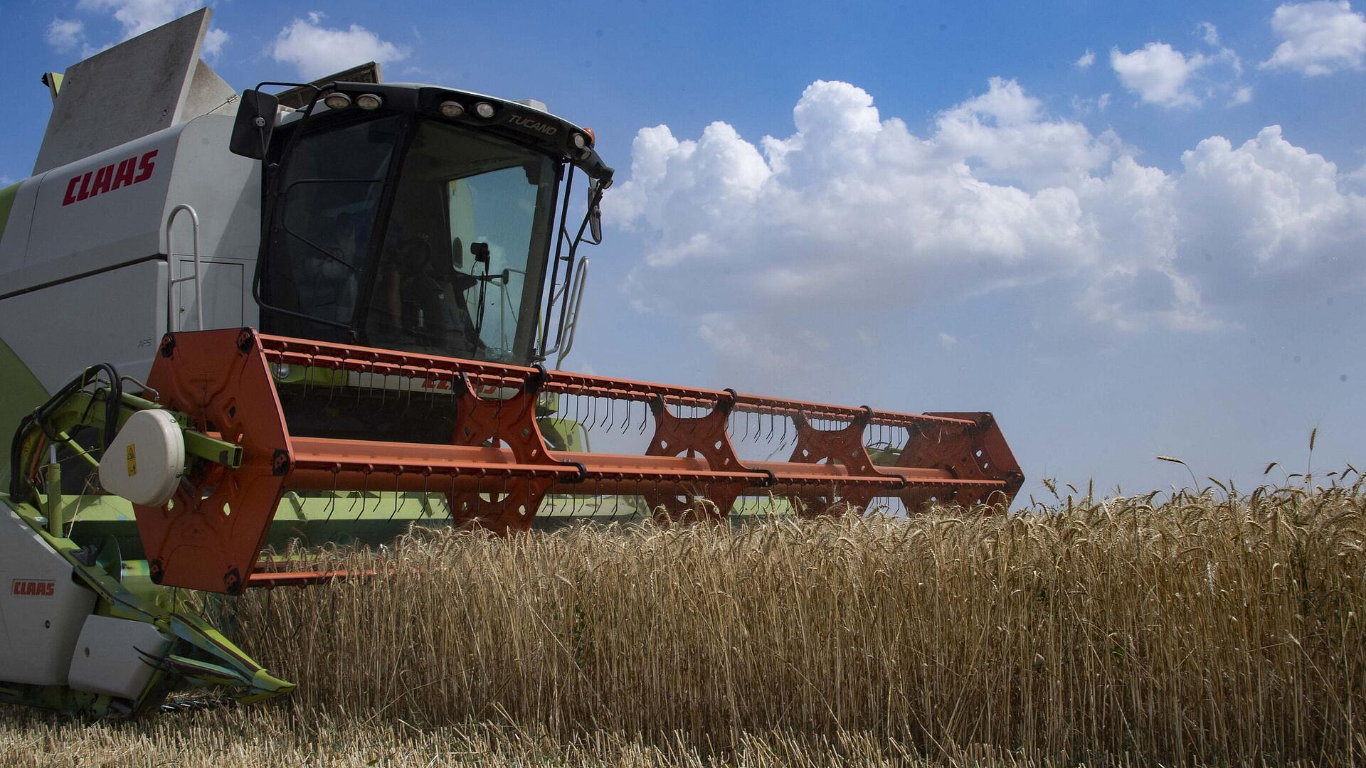 В Запорожской области заявили о готовности заместить иностранную продукцию