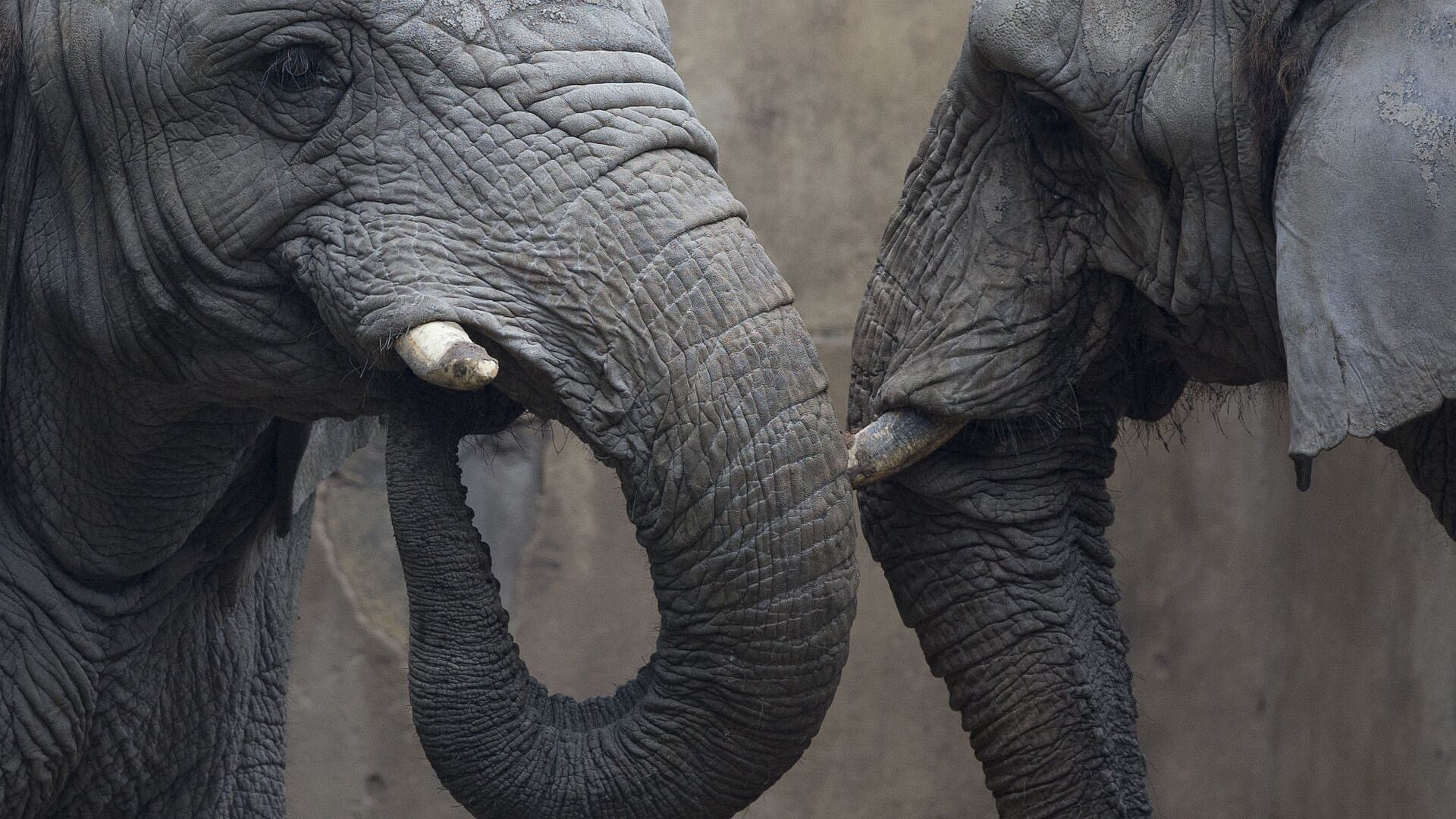 �� ���� ��������� ���� �� ���������� ������������� �����������