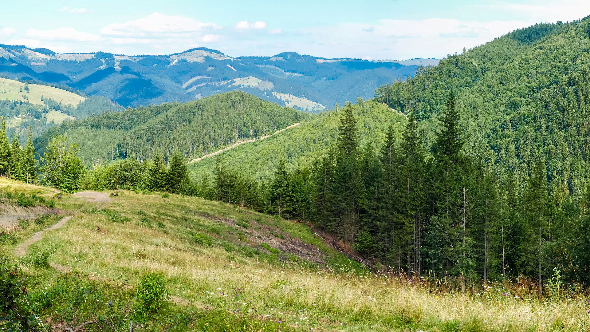 �� ������� �������� � ����������� �� ������� � ����������