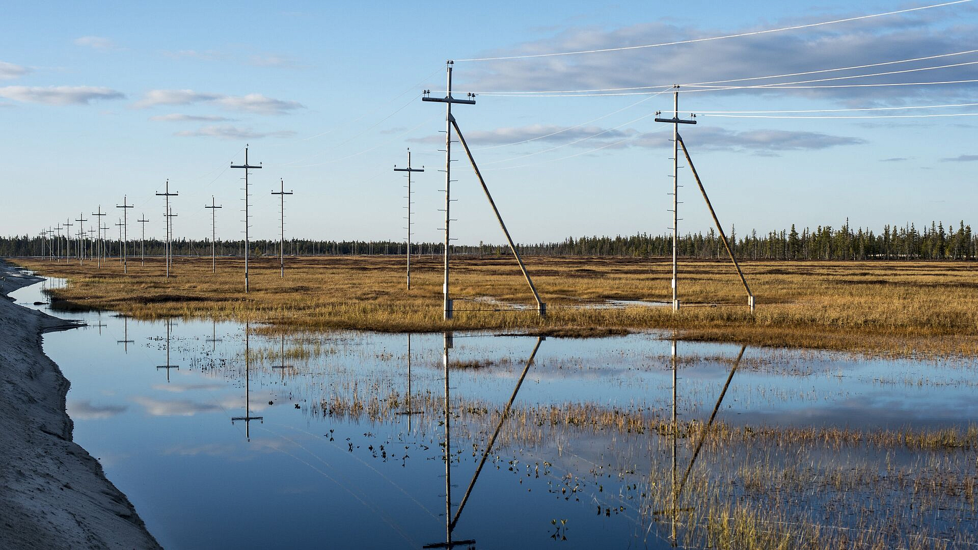 � ��������� ������ ���� ����� ����� ��