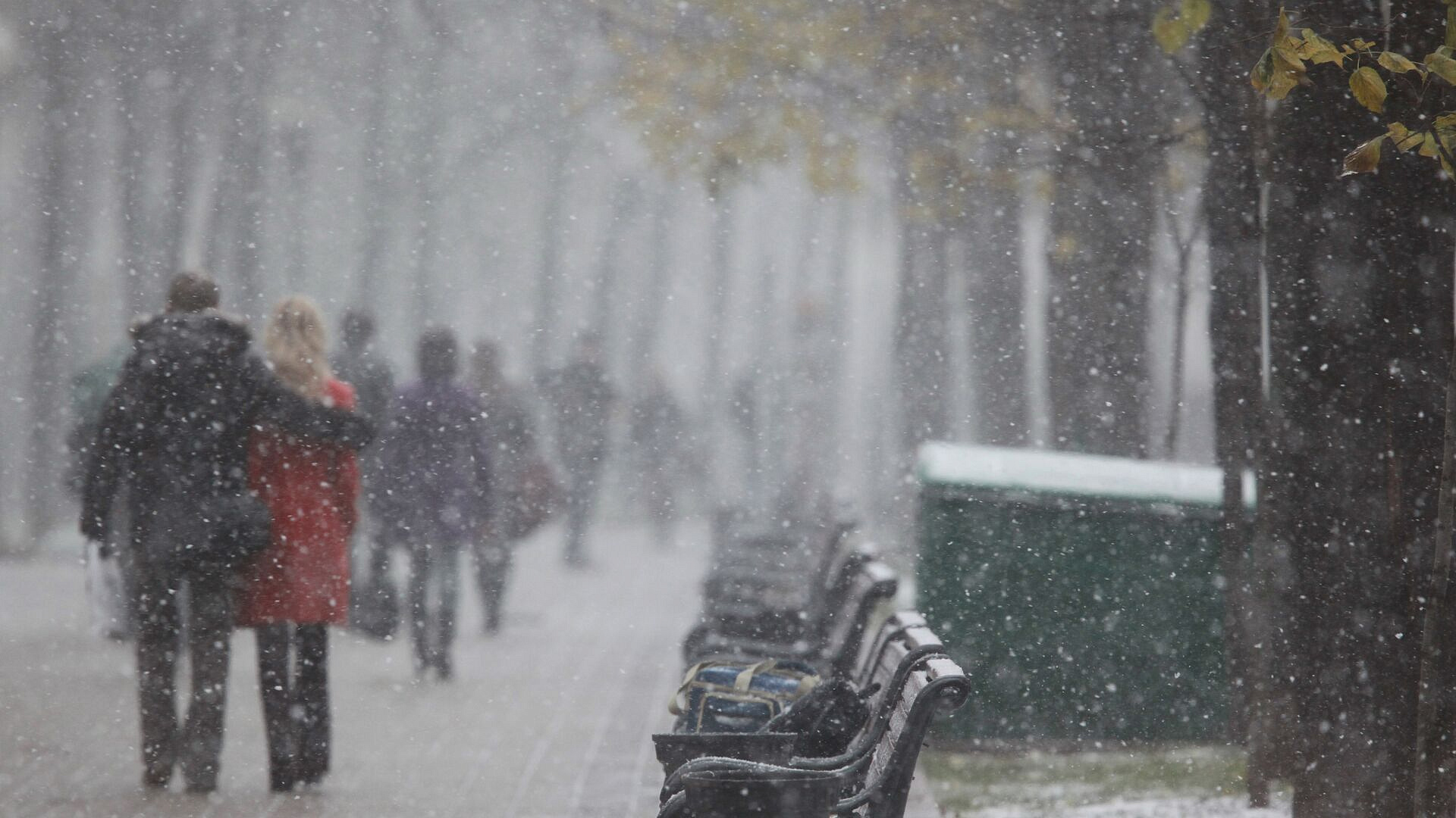 �������� ���� � ������ ����� ����� �������� � ������ ������-������� ������