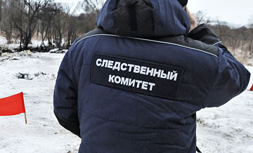 В Башкирии задержали директоров двух учреждений культуры по делу о хищении