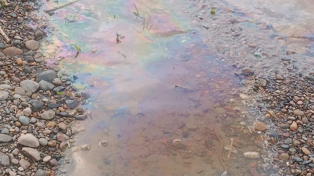 �� ������, ��� ��� ������ �������, ��������� ������ �� ����������� ������