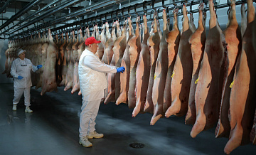 Россия наращивает экспорт свинины
