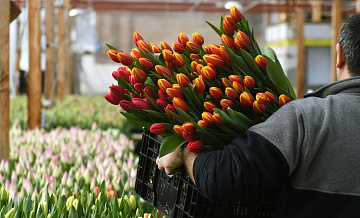 Россияне назвали самые необычные подарки на 8 Марта