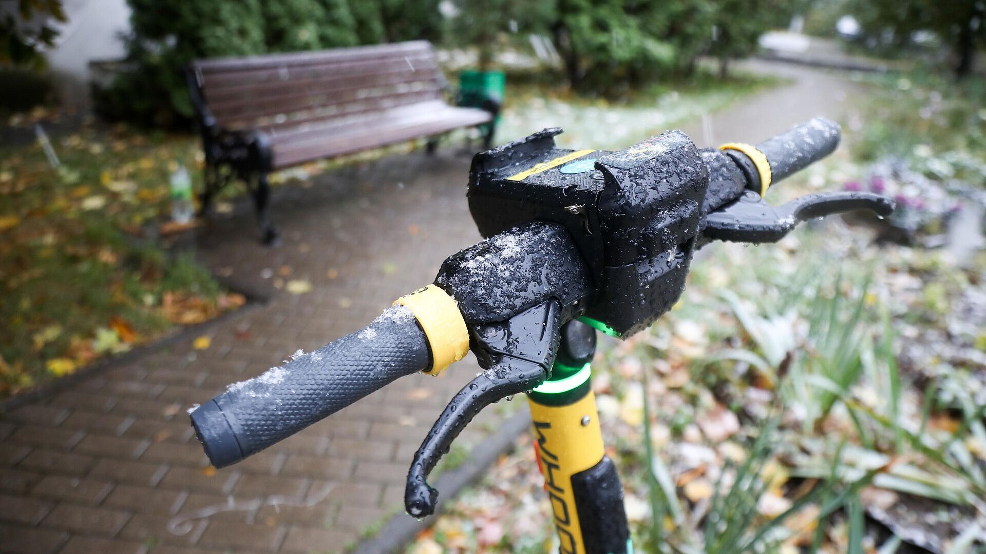 Житель Подмосковья получил срок за езду на электросамокате в нетрезвом виде