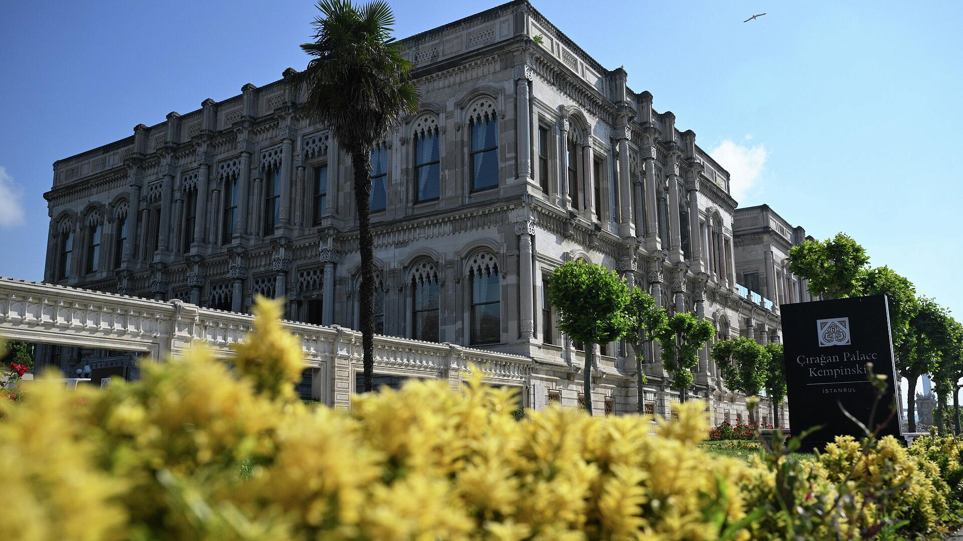 �������� ���������, ������ ������ ������� ������� ������ ��� �����������