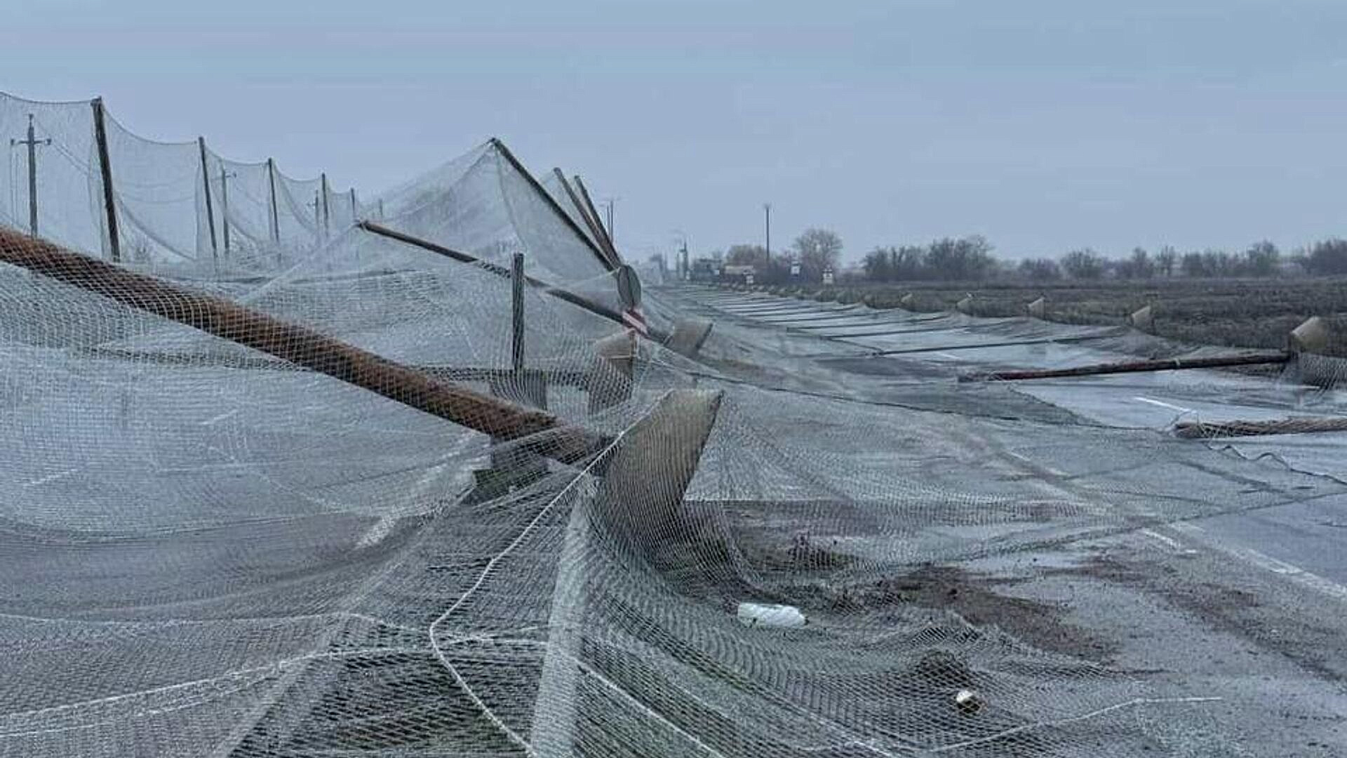 �� ������ �������� � ������ ��������� ������������ ������� ���