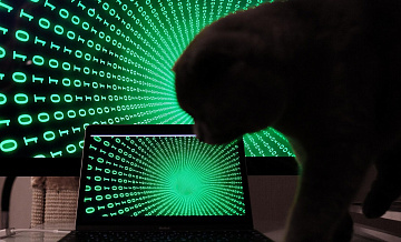 Россиянам рассказали, как защититься при утечках паролей