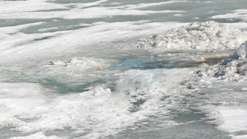 МЧС назвало самый опасный цвет льда в марте