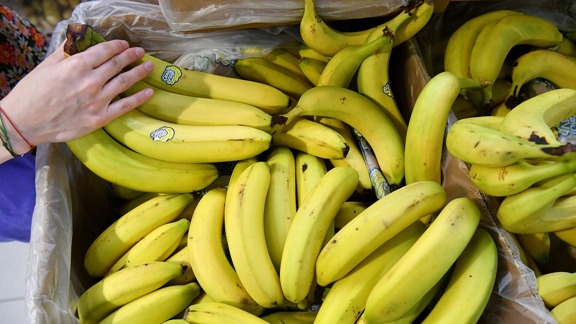 ������ ������� ����� ���� ��������� �� �������� ���������� ������