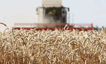 Минсельхоз прогнозирует сниженные показатели урожаев на этот год